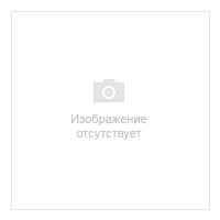Насос BALTUR 300